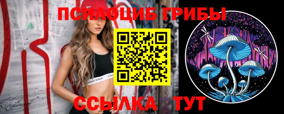 Галлюциногенные грибы Psilocybe Уварово